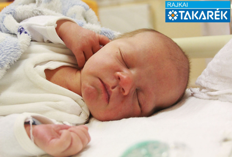 Kovács Patrik, Dunaszeg