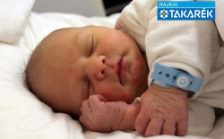 Gazdag István Noel, Jánossomorja