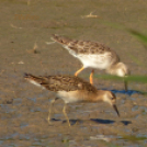 Tilai Gergely - Kerekesszéktől az önálló fotókiállításig