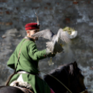 XII. Szigetköz ízei, Vármegye borai Fesztivál 2. nap