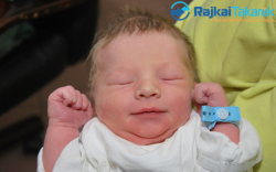 Virág Dániel, 3006 gr. Mosonudvar