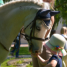 Mosonmagyaróvári Kézilabda SE faültetés (Fotó: Bánhegyi István)