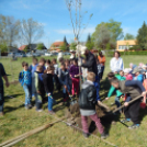 Faültetés a Föld Napja alkalmából