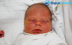 Csonka Bálint, 3380 gr. Sopronnémeti