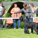 CAC kutyakiállítás (Fotó: Nagy Mária)