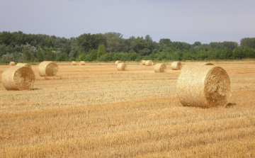 Aratás idején is figyeljünk a tűzesetek megelőzésére! 