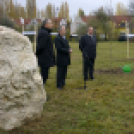 Országfásítási program Mosonmagyaróvár