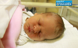 Németh Lilla, Jánossomorja