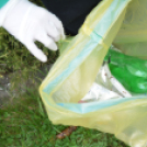 Szemét szedés (Fotó: Nagy Mária)