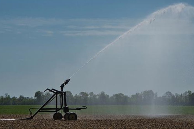 Nagy István: ingyen biztosítja a kormány a gazdáknak az öntözővizet