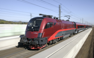 Hamis magánútlevéllel próbálkoztak