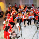 XX. Kühne Zenészbál