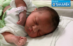 Ladányi Liliána, Mosonmagyaróvár