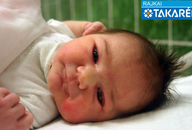 Bogár Hanna, Mosonmagyaróvár