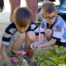 VII. Apró kezek, csodakertek Gyermek Kertépítő verseny