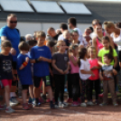 XV. Greiner Szigetköz Félmaraton