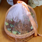 Évzáró műsor és Ballagás a Pillangó óvodában (Fotó: Stipkovits Veronika)