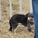 FUTURA Mosonmagyaróvár-Újbuda Fc (1:0) Gratulálunk! (Fotó: Nagy Mária)