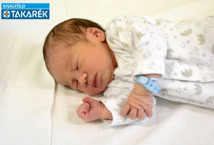 Ábrahám Árlen, Mosonmagyaróvár