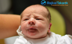 Boitor Nicolas Cristian, Halászi