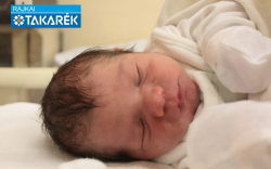 Ihász Gergő, Farád