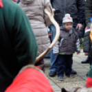 Flesch Karácsony (fotó: Horváth Attila)