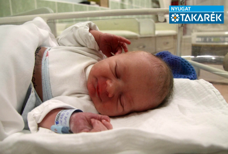 Szabó Dilen Gábor, Mosonmagyaróvár