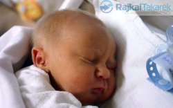 Gulyás Gábor, Levél