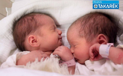 Balogh Nadina és Balogh Hanna, Jánossomorja