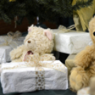 VÁROSI MIKULÁS NAP