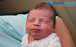 Palkó Dániel, 3540 gr. Csorna