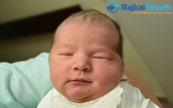 Domonkos Annabell, 4020 gr. Rajka