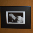 Mosonmagyaróvár szakrális értékei kiállítás és díjátadás 