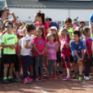 XV. Greiner Szigetköz Félmaraton