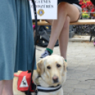 KULT-UTCA - Egészségnap másképp