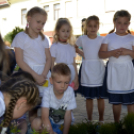 VII. Apró kezek, csodakertek Gyermek Kertépítő verseny