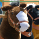 Mofémtelepi Majális (Fotó: Bánhegyi István)