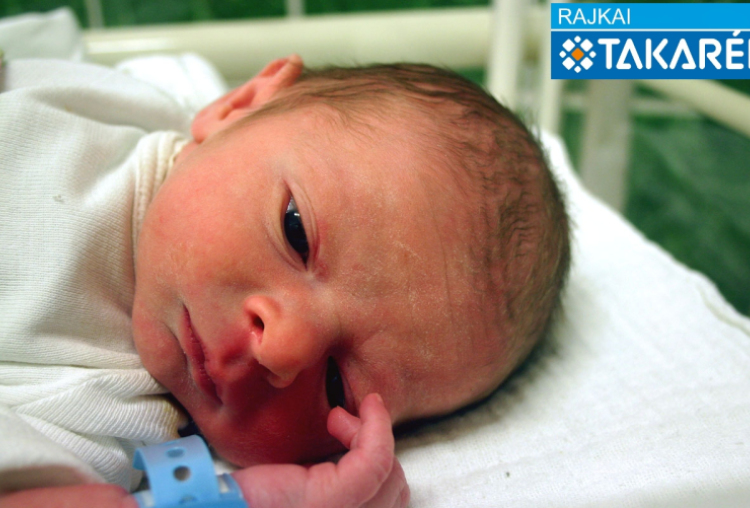 Farkas Ádám Levente. Mosonmagyaróvár