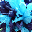 2016 április 2. - Kék séta az autizmussal élőkért (Fotó: Stipkovits Veronika)