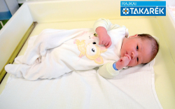 Uccheddu Valentino, Mosonmagyaróvár