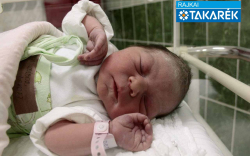 Demjén Bíbor Mikolt, Jánossomorja