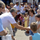 VII. Apró kezek, csodakertek Gyermek Kertépítő verseny