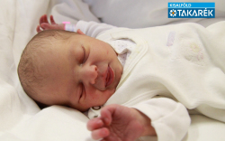 Limp Boglárka, Lébény