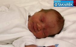 Sánta Ármin, Mosonmagyaróvár