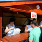 Sport és Egészségnap Mosonmagyaróvár (Fotó: Stipkovits Veronika és Bánhegyi István)