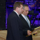 Virilista est 2015 Mosonmagyaróvár (Fotó: Horváth Attila)