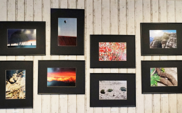 Rendhagyó kiállítás megnyitó