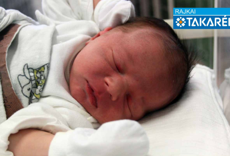 Bánhidi Gergő Baltazár, Mosonmagyaróvár