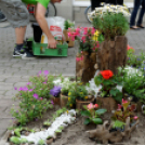 Apró kezek, csodakertek kertépítő verseny (Fotó: Horváth Attila)