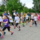 XII. Greiner Szigetköz Minimaraton (Fotó: Horváth Attila)